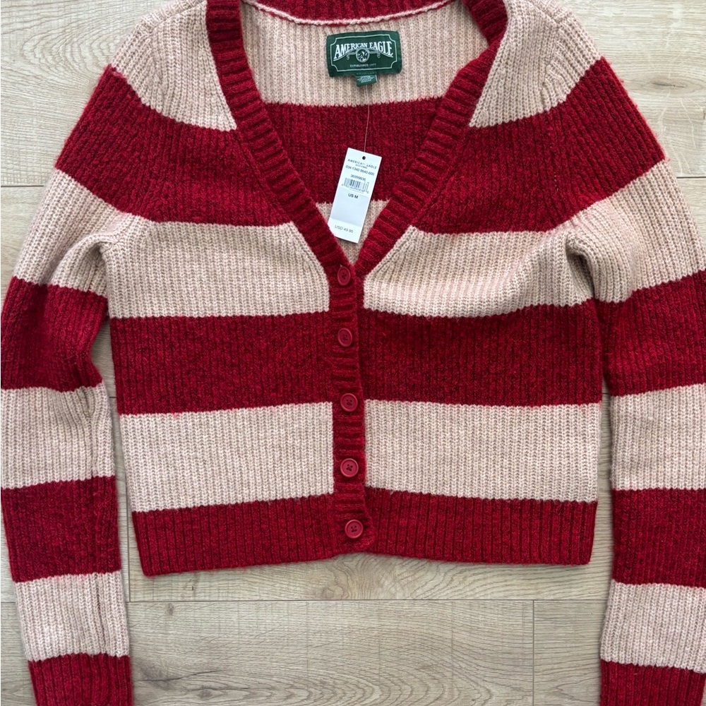 NWT American Eagle Outfitters Preppy  Striped Chunky Cardigan Elena Bella